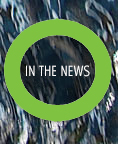 In The News